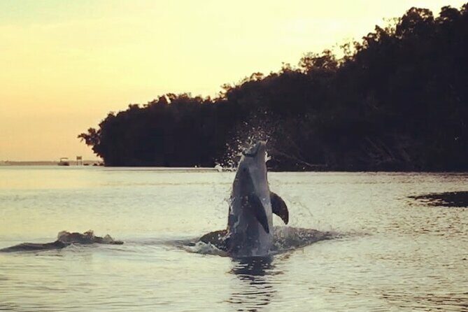 Clear Kayak Sunset Tour - Cocoa Beach - The Value of This Tour