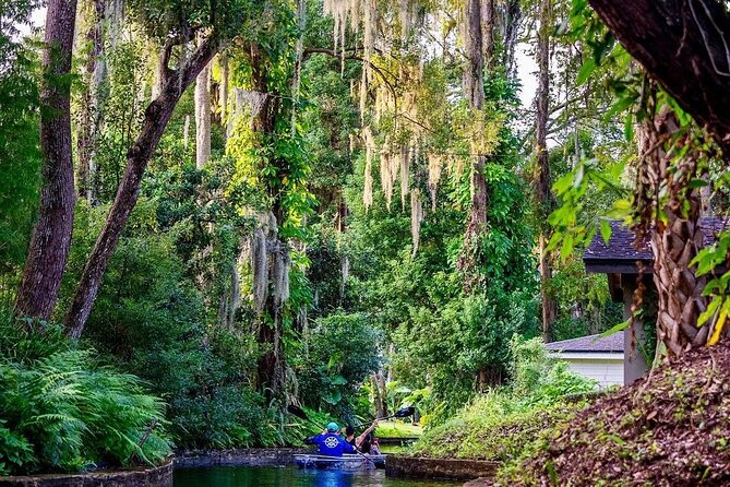 Clear Kayak Sunset Tour Through the Winter Park Chain of Lakes - Weight Limits and Minors