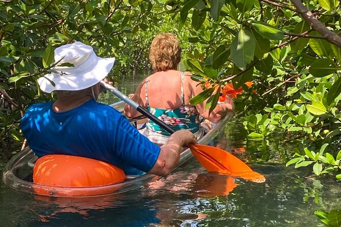 Clear Kayak Tour - Accessibility and Participation