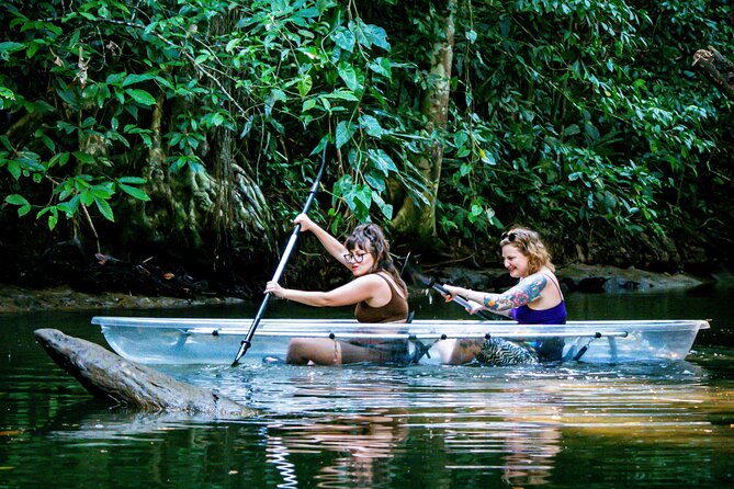 Clear Kayak Tour at Punta Uva - Kayaking Experience