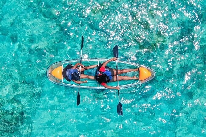 Clear Kayak Tour - Highlights From Reviews