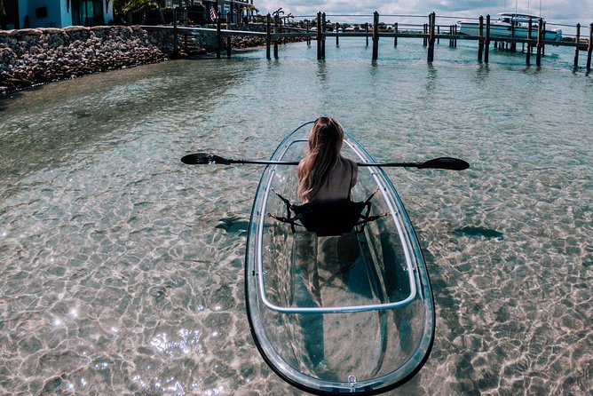Clear Kayak Tour in Jupiter - Wildlife Sightings