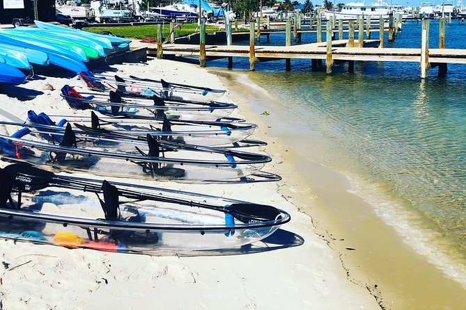Clear Kayak Tour in Jupiter - Meeting and Pickup