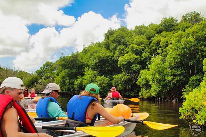 Clear Kayak Tour in Mangrove Antigua - The Sum Up