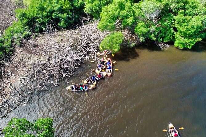 Clear Kayak Tour in Mangrove Antigua - FAQ: Your Questions Answered