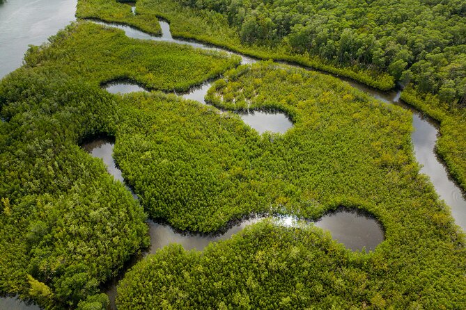 Clear Kayak Tour in North Miami Beach - Mangrove Tunnels - Spot Marine Life