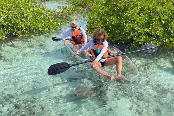 Clear Kayak Tour in Turks & Caicos Islands - About the Provider