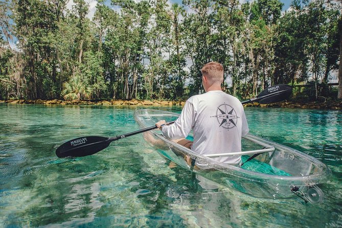 Clear Kayak Tour of Crystal River - Spotting Wildlife