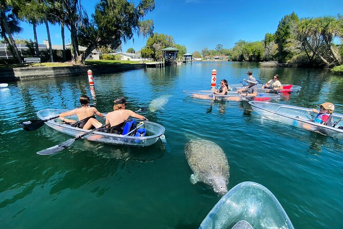 Clear Kayak Tour of Crystal River - Customer Reviews