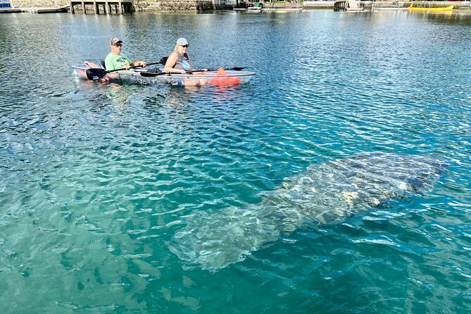 Clear Kayak Tour of Crystal River - Booking and Pricing