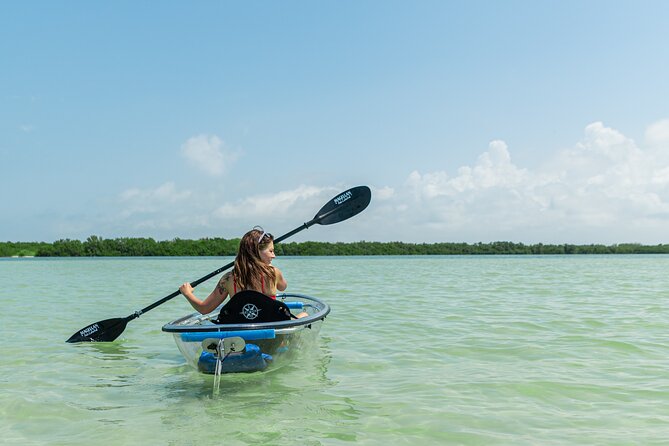 Clear Kayak Tour of Shell Key Preserve and Tampa Bay Area - Meeting and Pickup