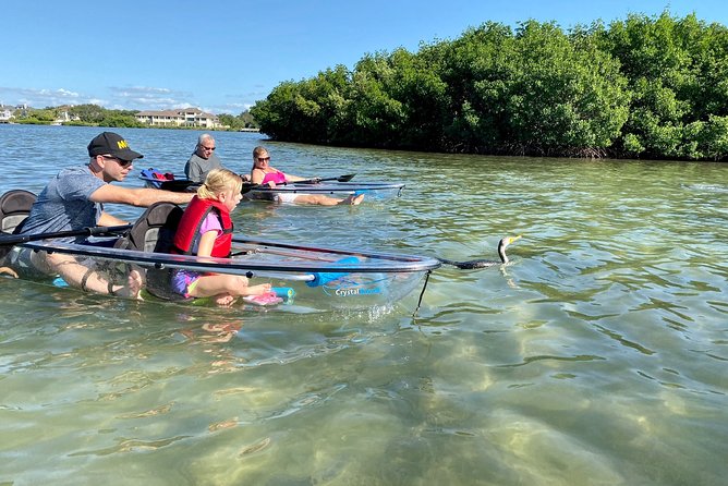 Clear Kayak Tour of Shell Key Preserve and Tampa Bay Area - What To Expect