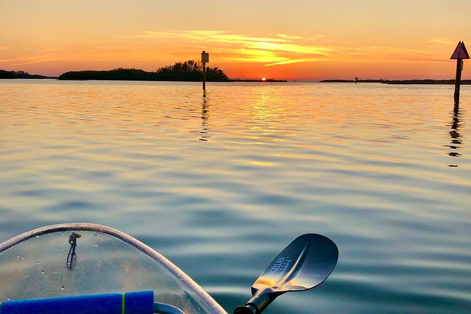 Clear Kayak Tour of Shell Key Preserve and Tampa Bay Area - Confirmation and Accessibility