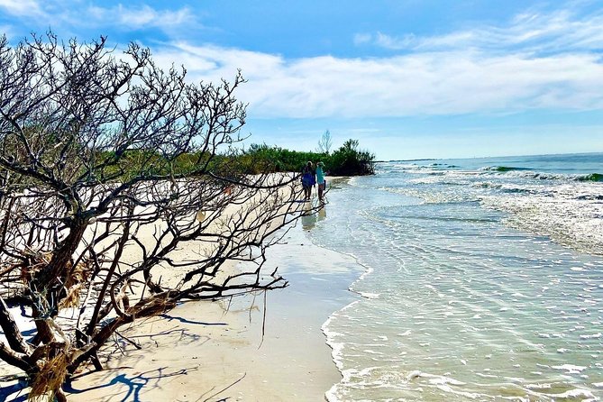 Clear Kayak Tour of Shell Key Preserve and Tampa Bay Area - Cancellation Policy