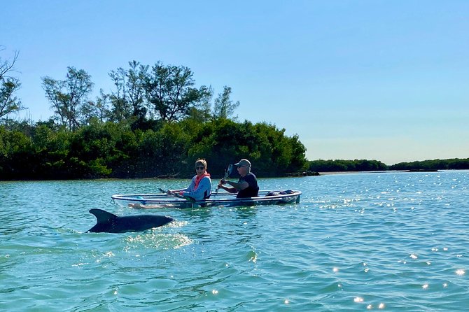 Clear Kayak Tour of Shell Key Preserve and Tampa Bay Area - Attire and Items to Bring