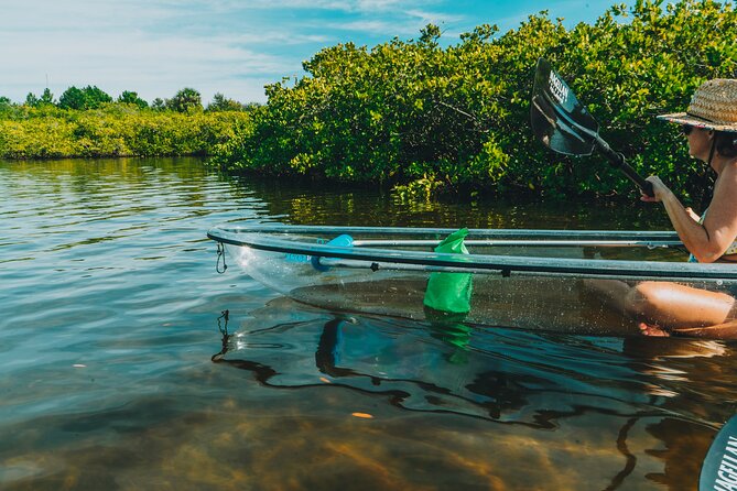Clear Kayak Tour of Tarpon Springs | Manatee Season - Highlights