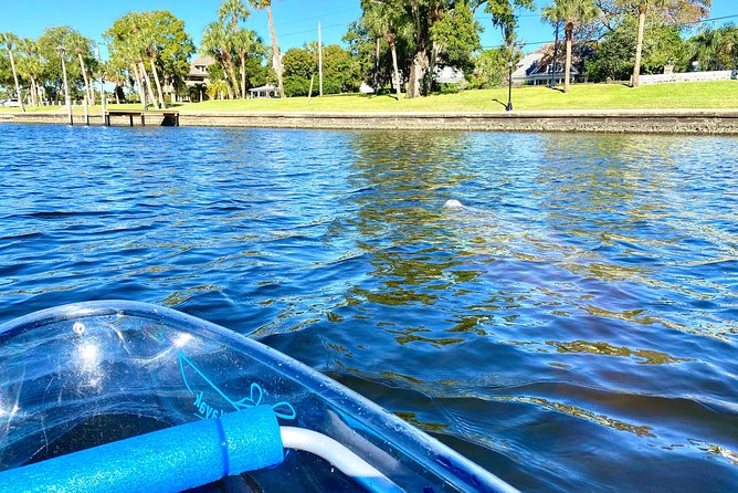 Clear Kayak Tour of Tarpon Springs | Manatee Season - Weight Limits