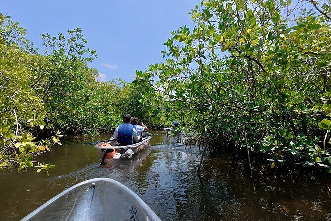 Clear Kayak Tour of Tarpon Springs Sponge Docks & Mangroves - Key Points