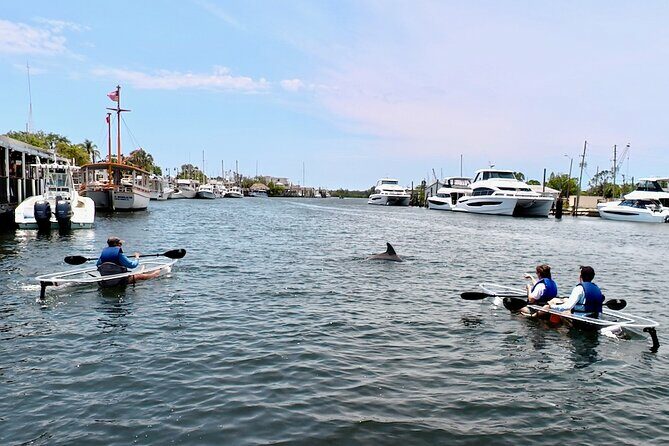 Clear Kayak Tour of Tarpon Springs Sponge Docks & Mangroves - What Sets This Tour Apart