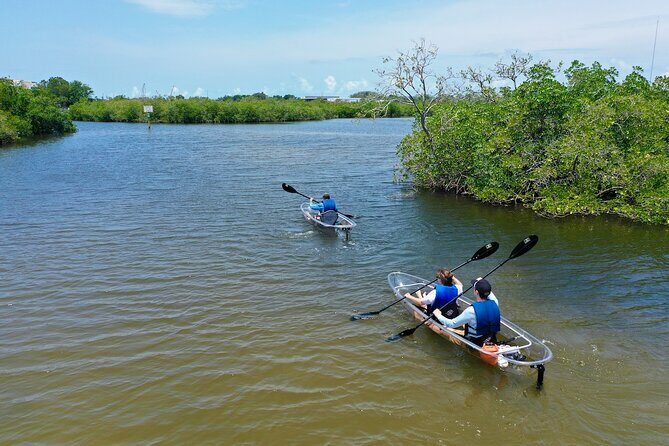 Clear Kayak Tour of Tarpon Springs Sponge Docks & Mangroves - Reviews Highlighting the Experience