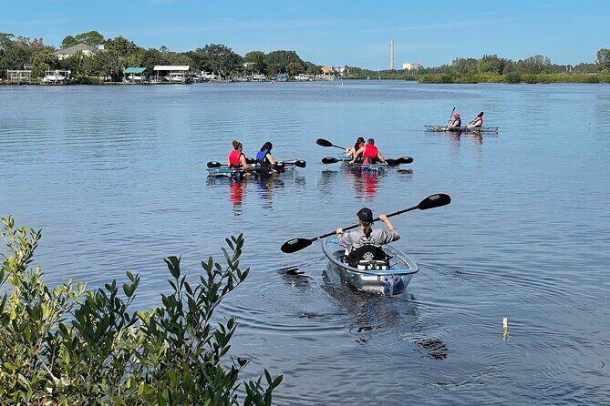 Clear Kayak Tour of Tarpon Springs Sponge Docks & Mangroves - FAQ