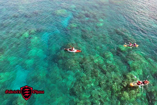 Clear Kayak Tour With Pontoons With Optional Snorkeling, Maui - Meeting and Pickup