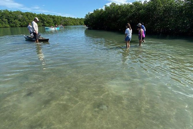Clear Kayak Tours in Fort Pierce - Meeting Point and Parking