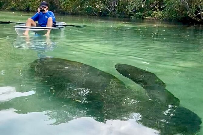 Clear Kayak Tours in Weeki Wachee - Age Requirements and Supervision