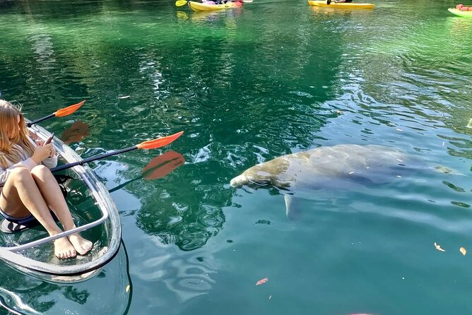 Clear Kayak Tours in Weeki Wachee - Highlights of the Kayaking Experience