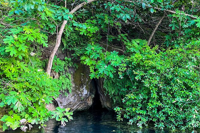 Clear Kayaking Eco Adventure Tour in Marianna - Exploring Underwater Caves and Bluffs