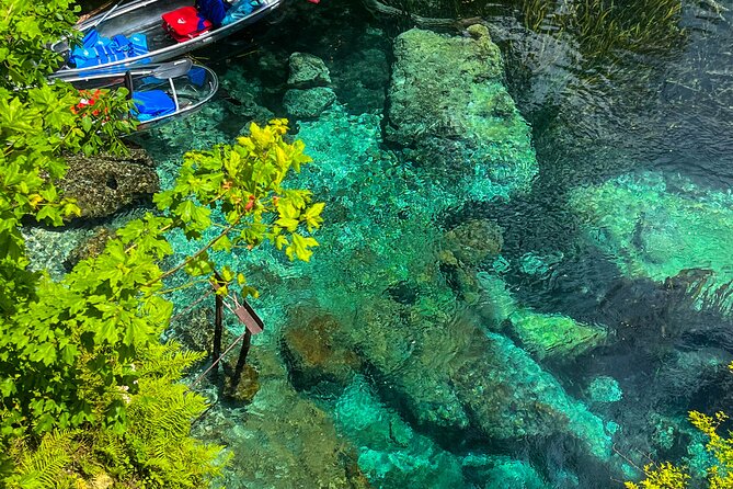 Clear Kayaking Eco Adventure Tour in Marianna - Wildlife Spotting on the Tour