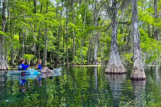 Clear Kayaking Eco Adventure Tour in Marianna - Nearby State Parks and Attractions