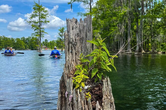 Clear Kayaking Eco Adventure Tour in Marianna - Included in the Tour Package