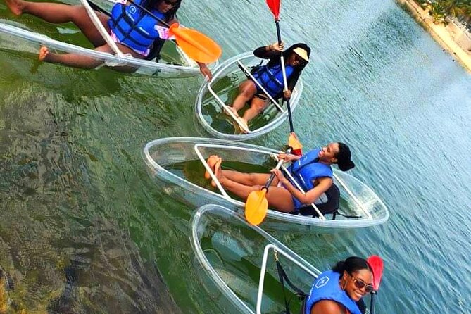 Clear Kayaking in Tobago - Host Response and Commitment