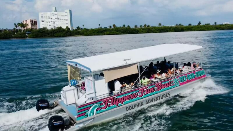 Clearwater Beach: Dolphin Excursion - Flippers Fun Boat - Pricing and Value