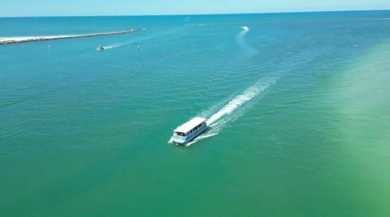 Clearwater Beach: Dolphin & Island Sandbar Cruise - Key Points