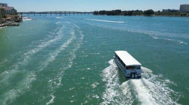 Clearwater Beach: Dolphin & Island Sandbar Cruise - Limitations & Considerations