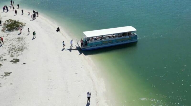Clearwater Beach: Dolphin & Island Sandbar Cruise - FAQ