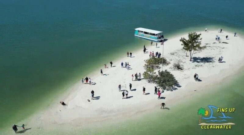 Clearwater Beach: Dolphin & Island Sandbar Cruise - Final Word