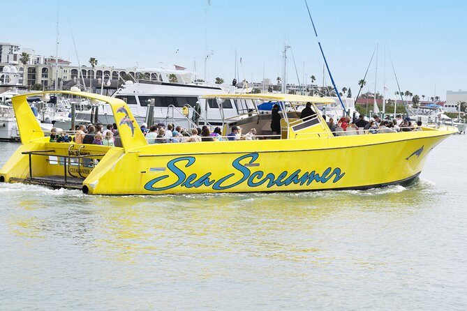 Clearwater Beach Dolphin Speedboat Adventure With Lunch & Transport From Orlando - Tour Guide Qualifications