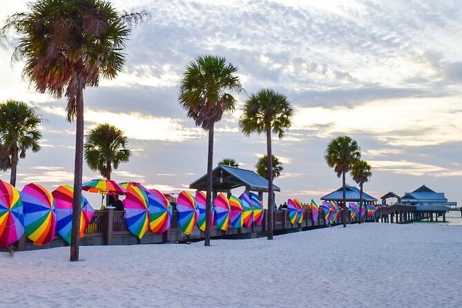 Clearwater Beach Dolphin Speedboat Adventure With Lunch & Transport From Orlando - Customer Feedback and Ratings