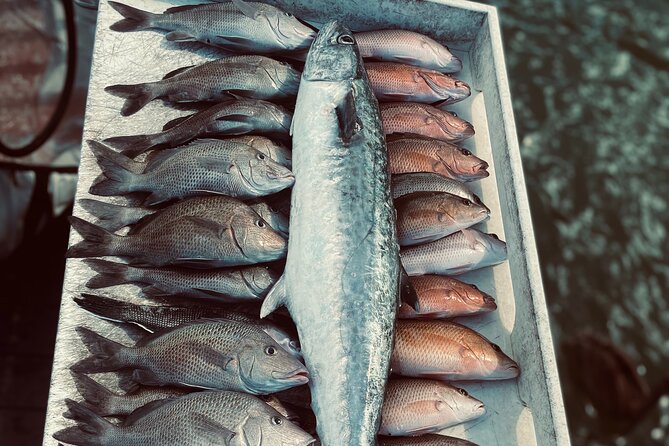 Clearwater Beach Fishing Charter! Half Day of Fishing Fun on the Water!!!!! - Accessibility and Suitability Considerations