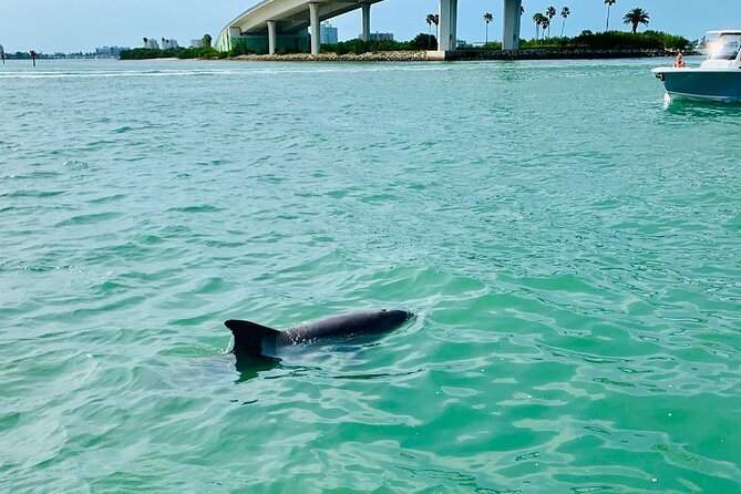 Clearwater Beach Private Pontoon Boat Tour for Six - Included in the Tour