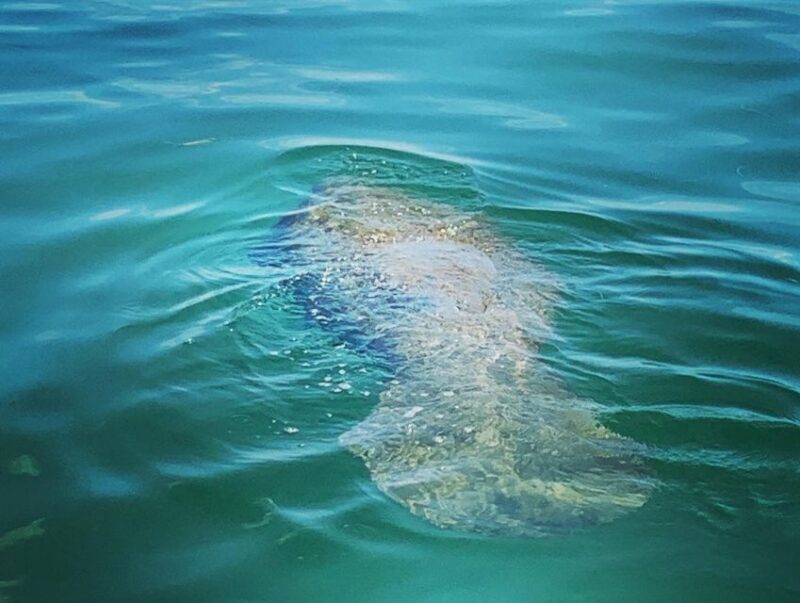 Clearwater Beach Private Pontoon Tours - Booking Information