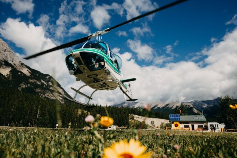 Clearwater County: Canadian Rockies Scenic Helicopter Tour - Key Points