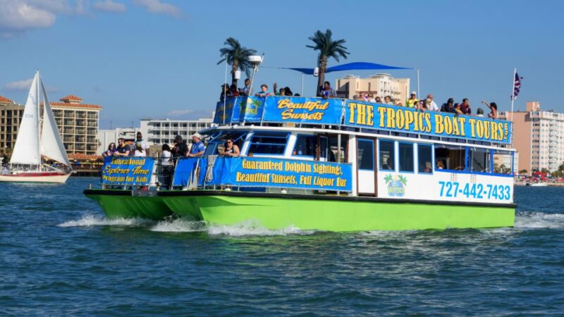 Clearwater: Cruise With Guaranteed Dolphin Sightings - Key Points