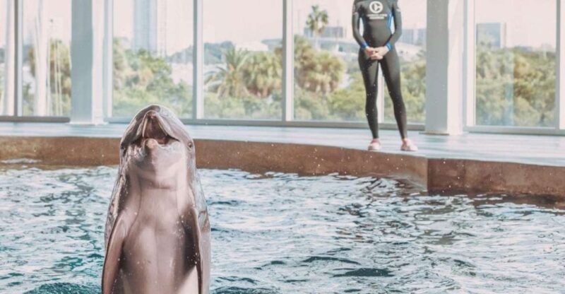 Clearwater: Eco-Certified Marine Aquarium General Admission - Rescued Marine Life Highlights