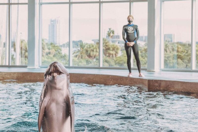 Clearwater: Eco-Certified Marine Aquarium General Admission - Educational Exhibits and Programs