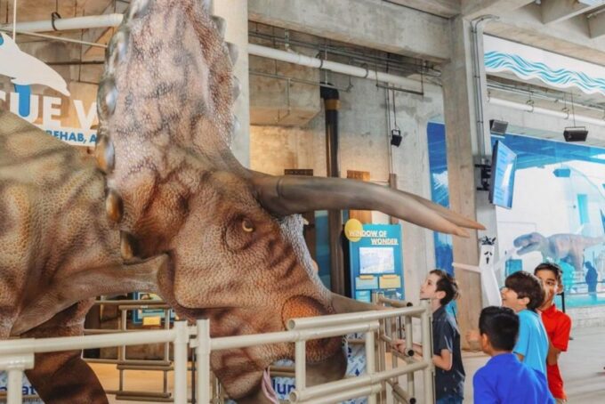 Clearwater: Eco-Certified Marine Aquarium General Admission - Eco-Certified Aquarium Mission