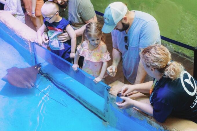 Clearwater: Eco-Certified Marine Aquarium General Admission - Plan Your Visit